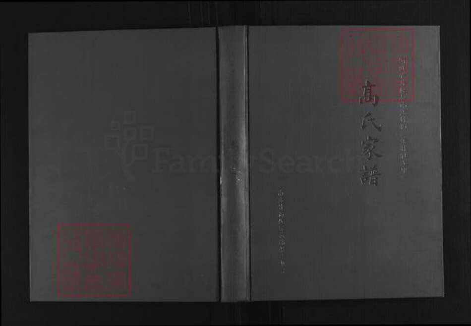 河北省石家庄市井陉县秀林镇高氏族谱-高氏家谱.pdf电子版缩略图