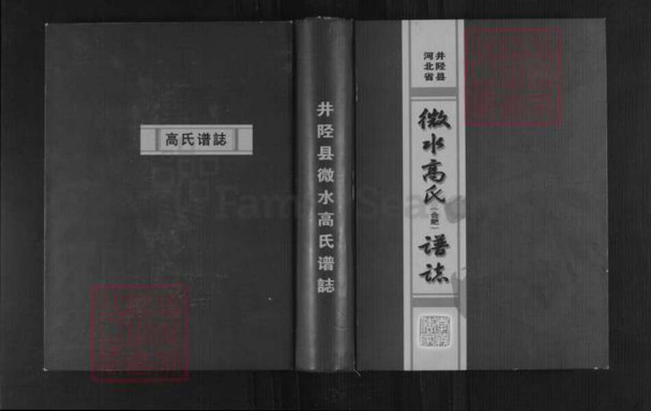 河北省石家庄市井陉县微水镇高氏明锦堂族谱-河北省井陉县微水高氏谱志.pdf电子版缩略图