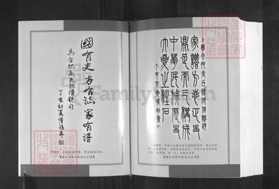 河北省石家庄市井陉县微水镇高氏明锦堂族谱-河北省井陉县微水高氏谱志.pdf电子版预览图2