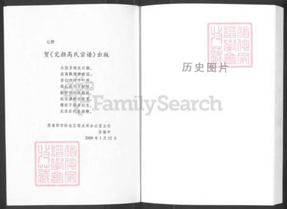 河南省南阳市南召县高氏族谱-高召县高氏(完颜)任营大支宗谱.pdf电子版预览图5