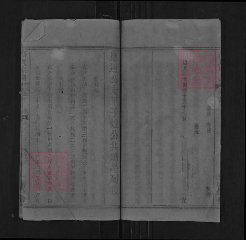 湖北省黄冈市罗田县平湖乡高氏绍愚堂族谱-高氏宗谱.pdf电子版预览图2