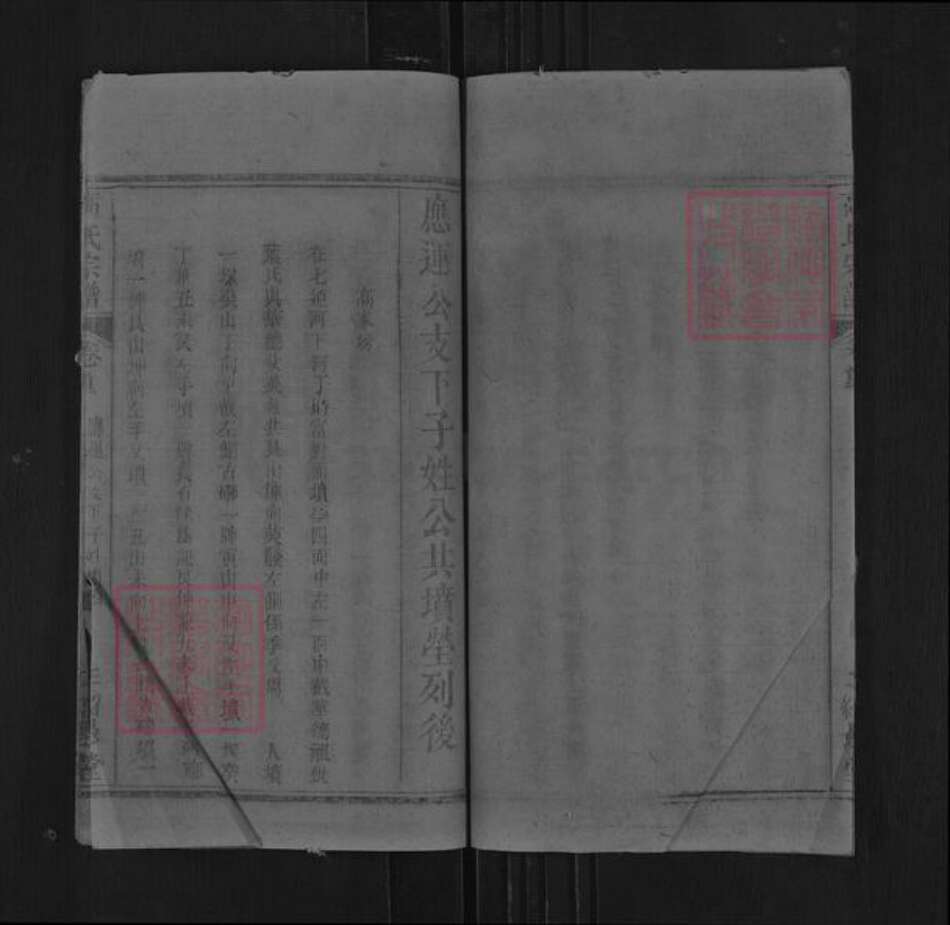 湖北省黄冈市罗田县平湖乡高氏绍愚堂族谱-高氏宗谱.pdf电子版预览图4