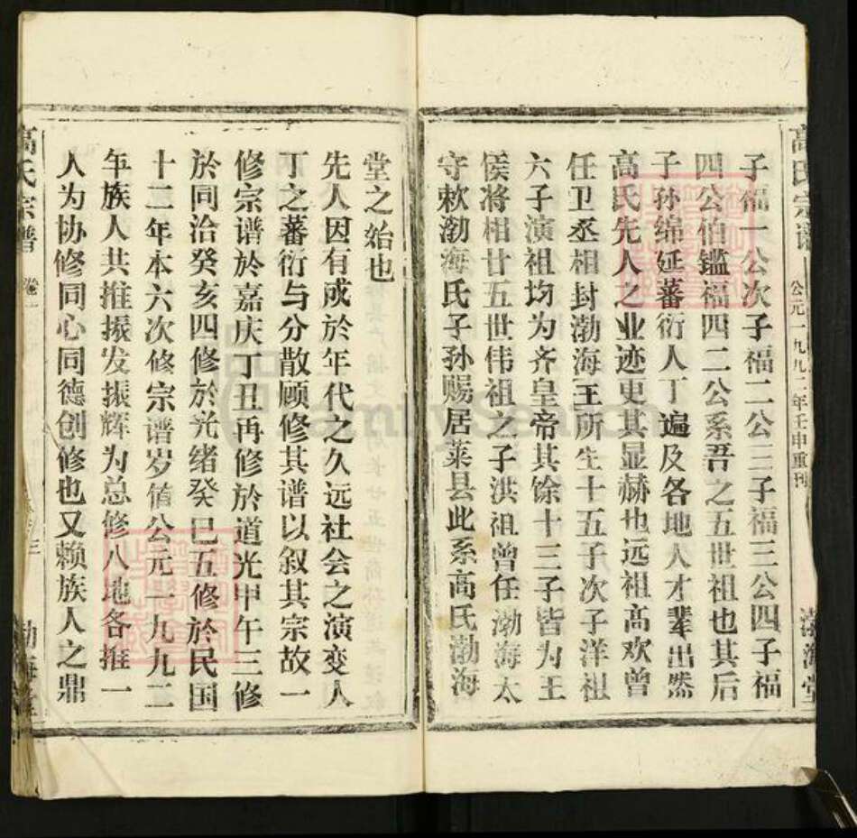 湖北省武汉市新洲区高氏渤海堂族谱-高氏宗谱.pdf电子版预览图2