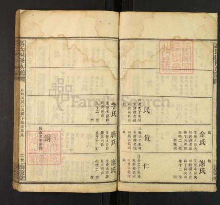 湖南省高氏诒谷堂族谱-高氏四修族谱.pdf电子版预览图2