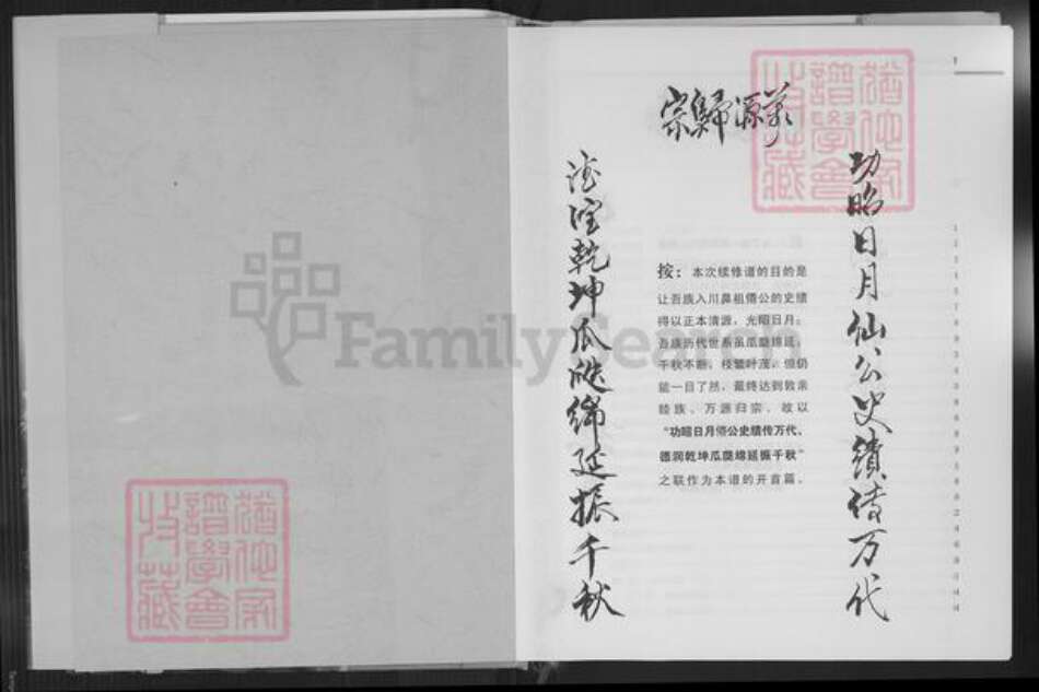 重庆市垫江县高氏族谱-重庆垫江高氏族谱.pdf电子版预览图2