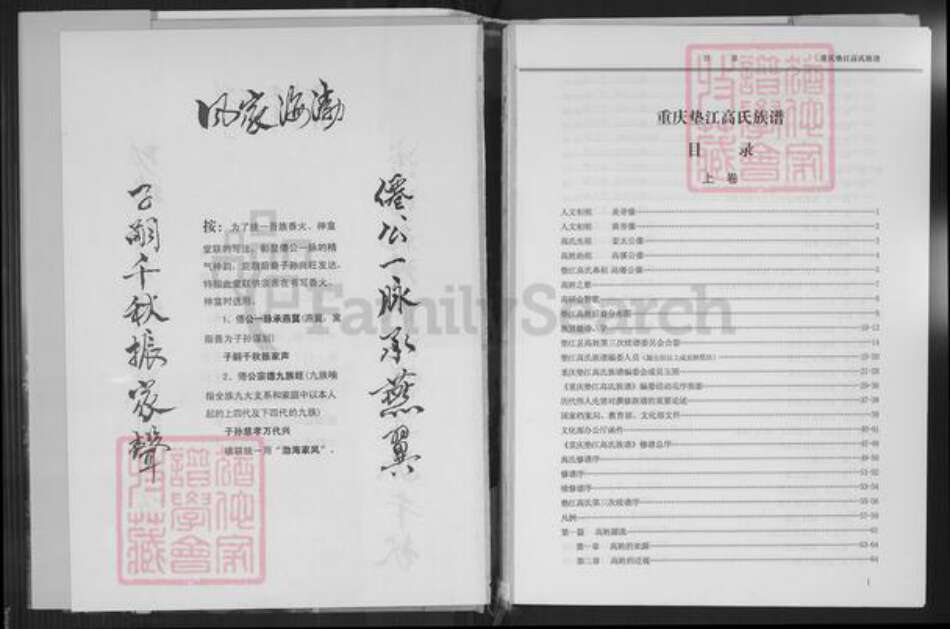 重庆市垫江县高氏族谱-重庆垫江高氏族谱.pdf电子版预览图3