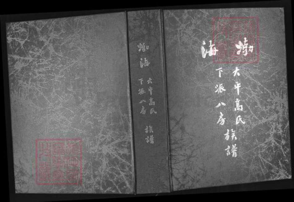 福建省泉州市安溪县大坪乡高氏族谱-渤海大平高氏下派八房族谱.pdf电子版缩略图
