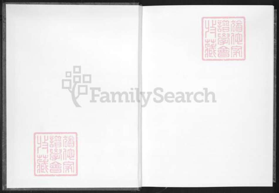 福建省泉州市安溪县大坪乡高氏族谱-渤海大平高氏下派八房族谱.pdf电子版预览图1