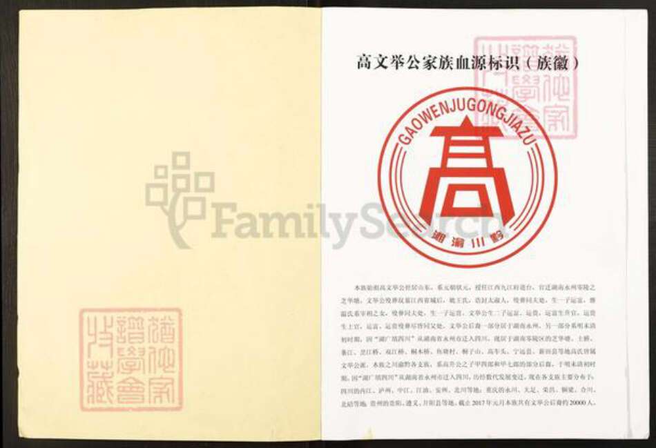 湖南省永州市零陵区高氏族谱-高文举公族谱.pdf电子版预览图1