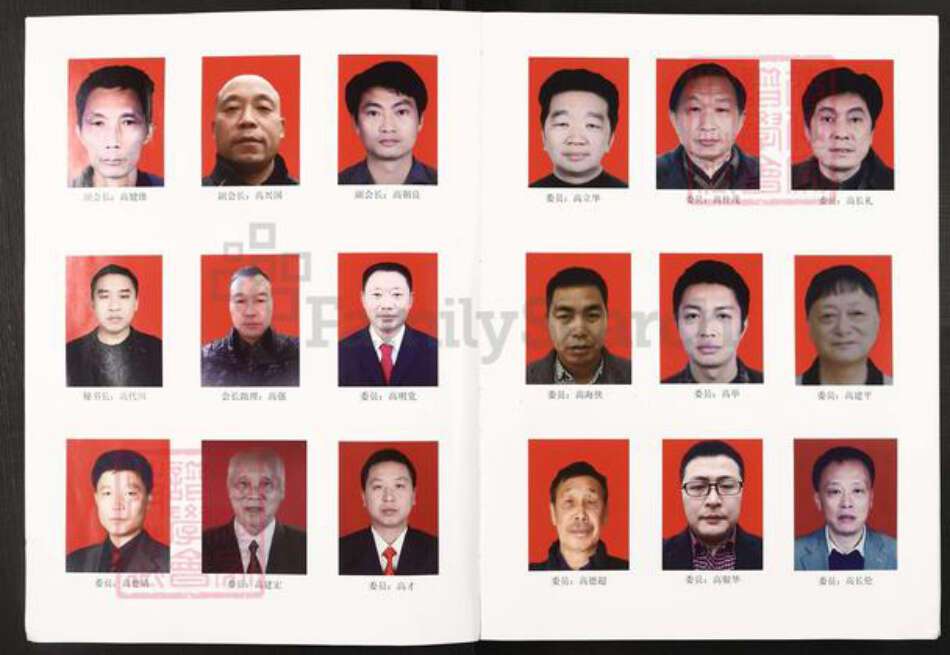 湖南省永州市零陵区高氏族谱-高文举公族谱.pdf电子版预览图4