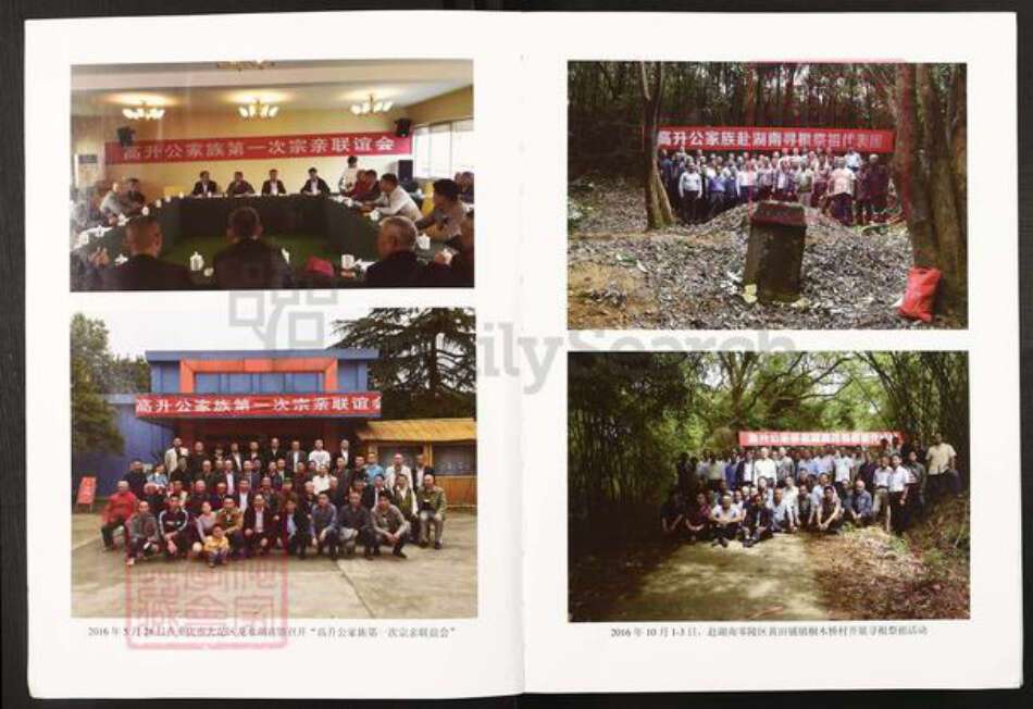 湖南省永州市零陵区高氏族谱-高文举公族谱.pdf电子版预览图5