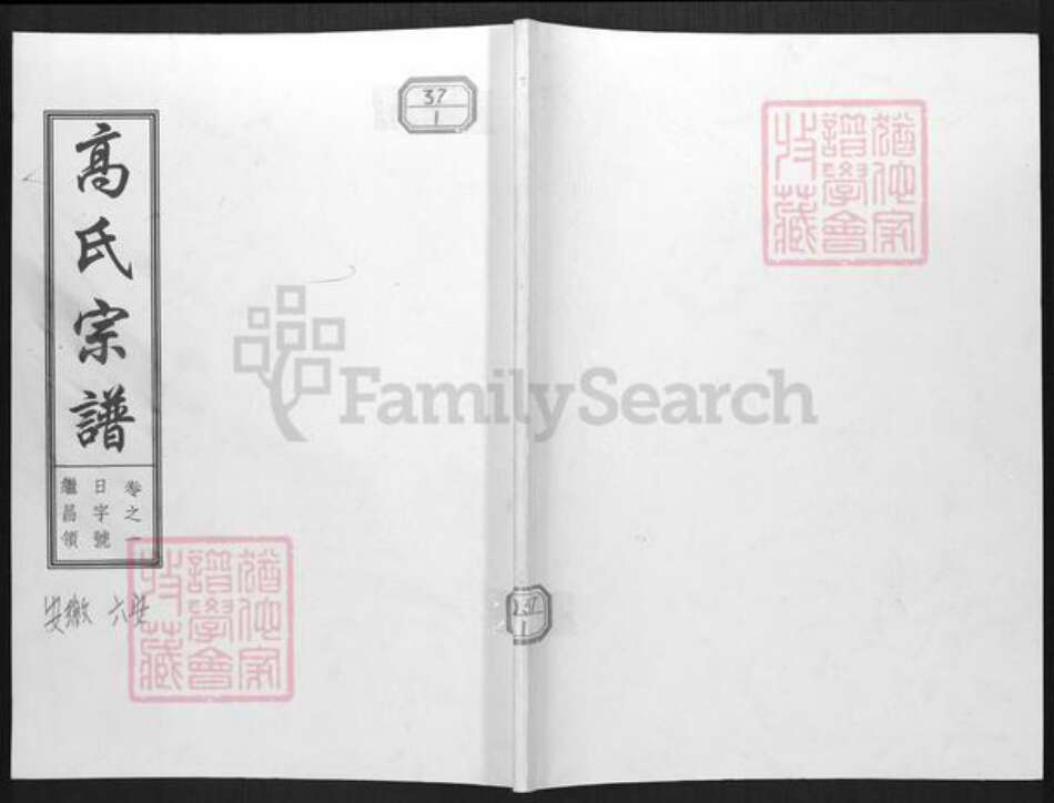 安徽省六安市高氏清和堂族谱-高氏宗谱.pdf电子版缩略图