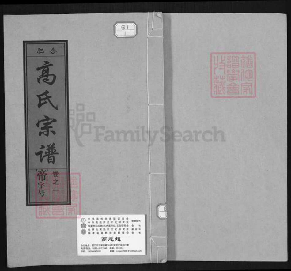 安徽省合肥市肥东县包公镇高氏存诚堂族谱-高氏宗谱.pdf电子版缩略图