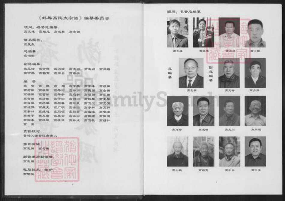 安徽省蚌端口市淮上区高氏九思堂族谱-蚌端口高氏大宗谱.pdf电子版预览图3