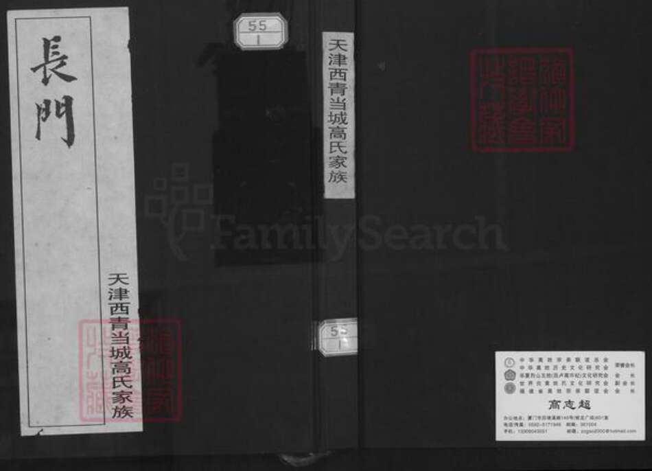 天津市西青区辛口镇高氏族谱-天津西青当城高氏家族.pdf电子版缩略图