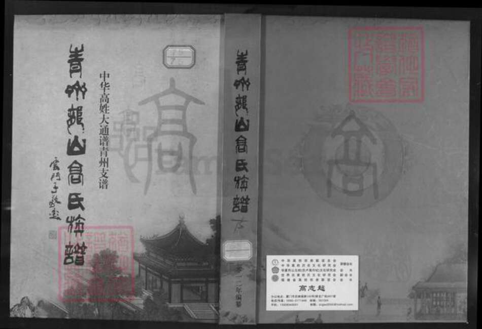 山东省潍坊市青州市高氏族谱-青州龙山高氏族谱.中华高氏大通谱青州支谱.pdf电子版缩略图