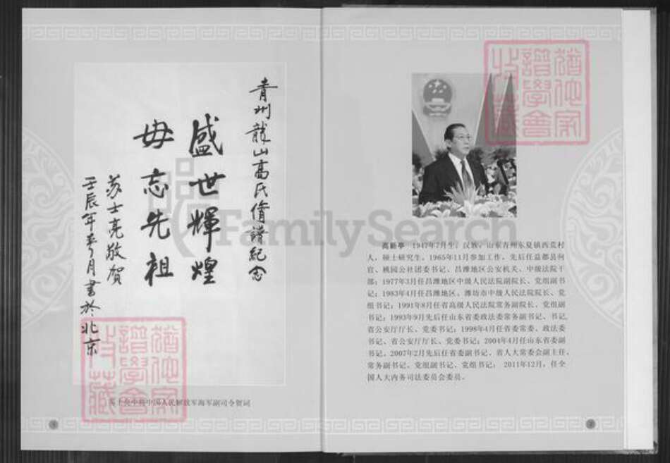 山东省潍坊市青州市高氏族谱-青州龙山高氏族谱.中华高氏大通谱青州支谱.pdf电子版预览图3