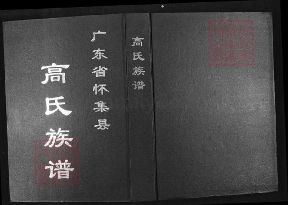 广东省肇庆市怀集县高氏族谱-高氏族谱.pdf电子版缩略图