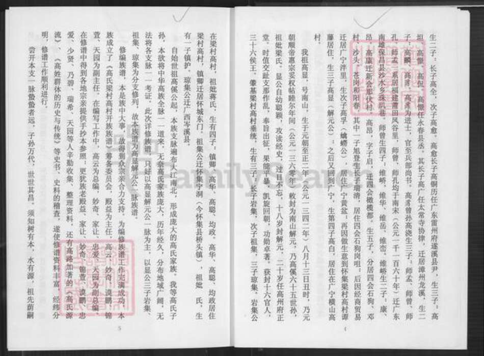 广东省肇庆市怀集县高氏族谱-高氏族谱.pdf电子版预览图5