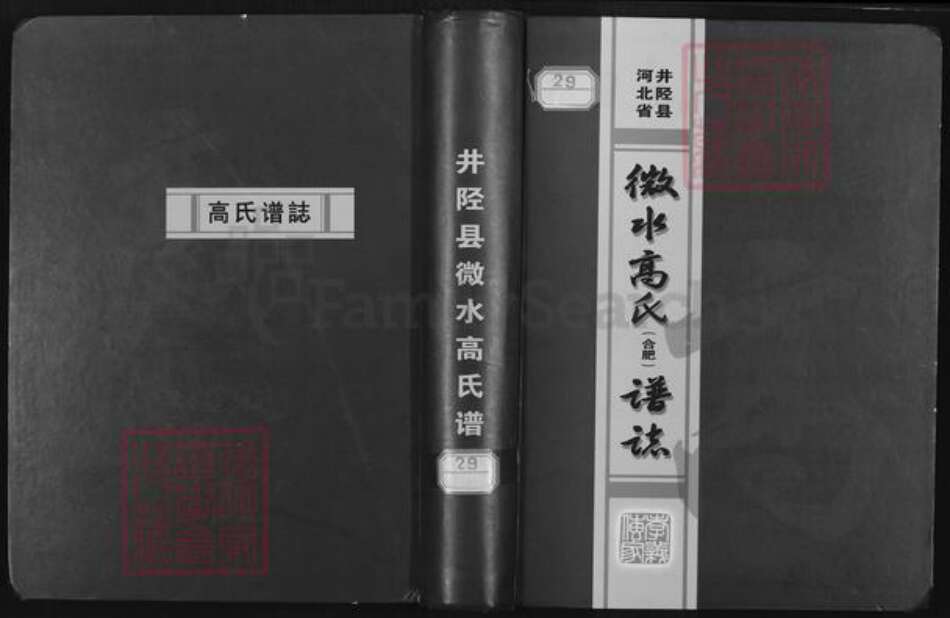 河北省石家庄市井陉县微水镇高氏明锦堂族谱-河北省井陉县微水高氏(合肥)谱志.pdf电子版缩略图