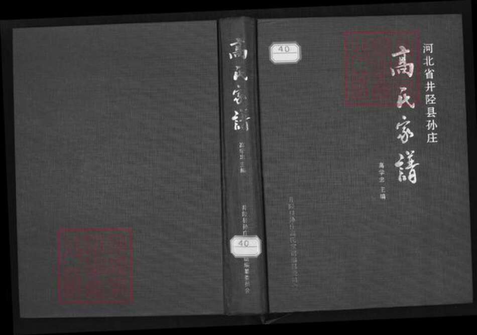 河北省石家庄市井陉县孙庄乡高氏族谱-高氏家谱.pdf电子版缩略图