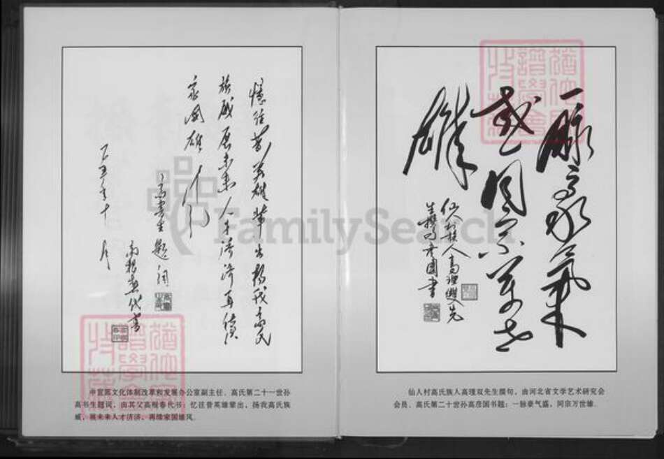 河北省石家庄市井陉县孙庄乡高氏族谱-高氏家谱.pdf电子版预览图5