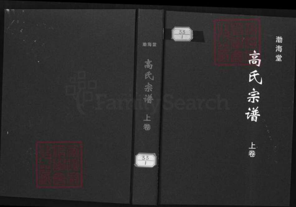 湖北省仙桃市剅河镇高氏渤海堂族谱-高氏宗谱.pdf电子版缩略图