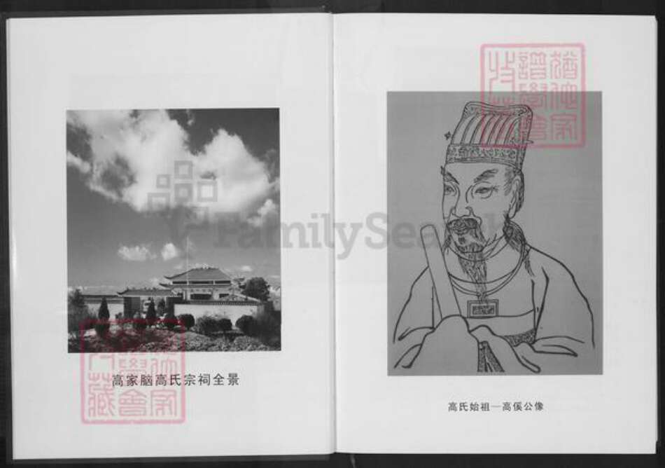 湖北省仙桃市剅河镇高氏渤海堂族谱-高氏宗谱.pdf电子版预览图5