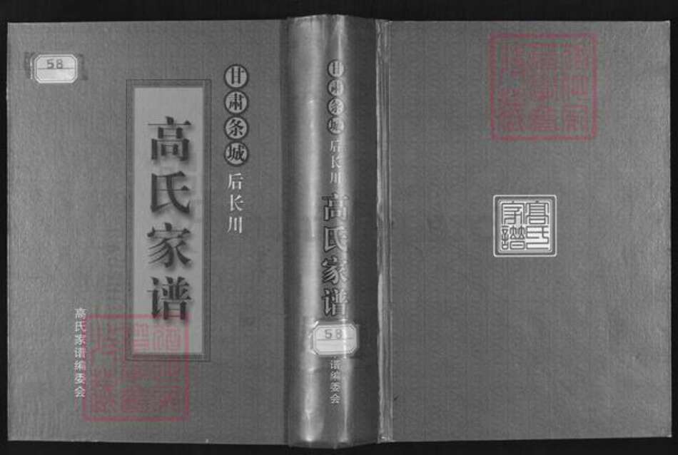 甘肃省白银高氏族谱-甘肃条城后长川高氏家谱.pdf电子版缩略图