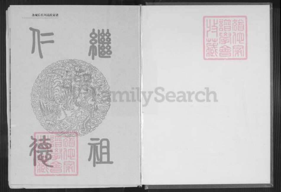 甘肃省白银高氏族谱-甘肃条城后长川高氏家谱.pdf电子版预览图2