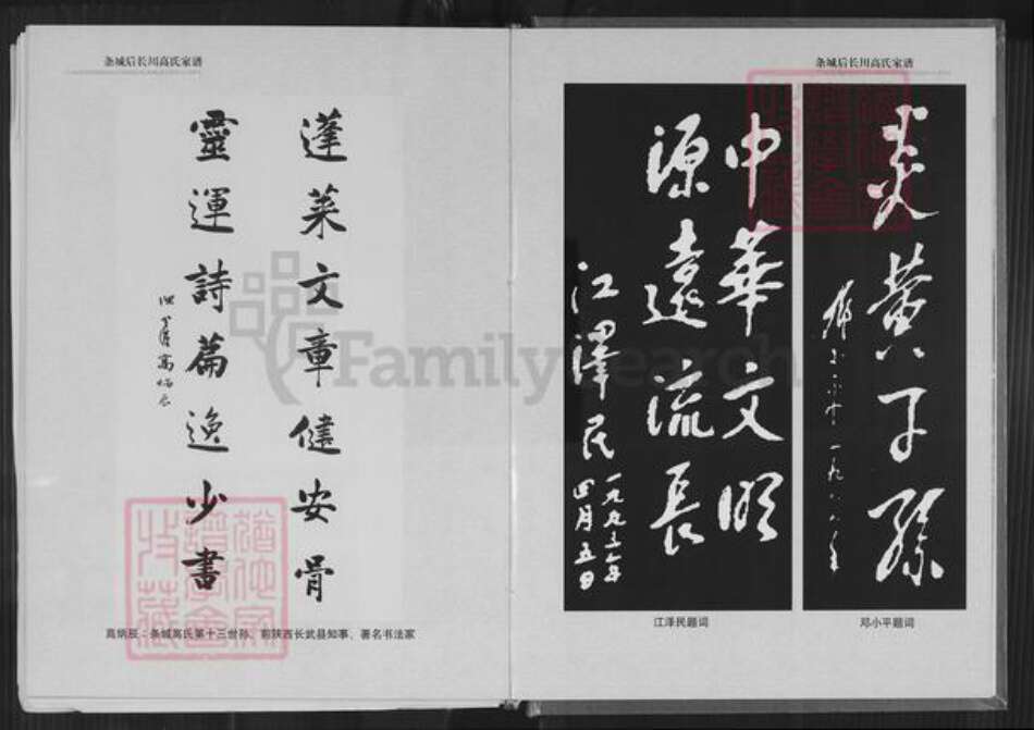 甘肃省白银高氏族谱-甘肃条城后长川高氏家谱.pdf电子版预览图5