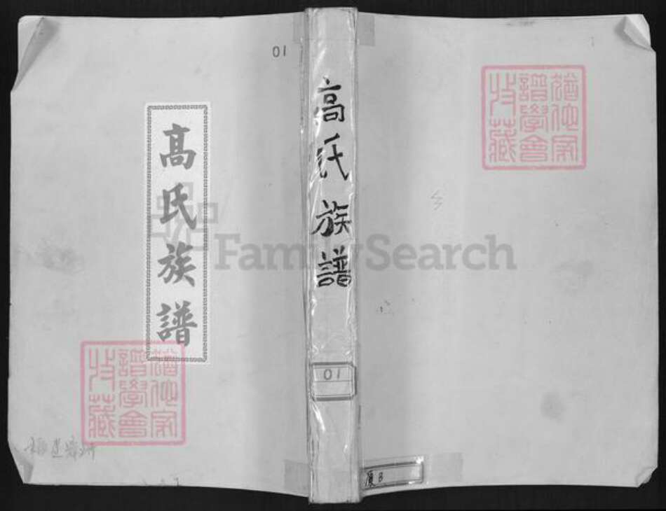 福建省漳州市龙海市石码街道高氏族谱-高氏族谱.pdf电子版缩略图