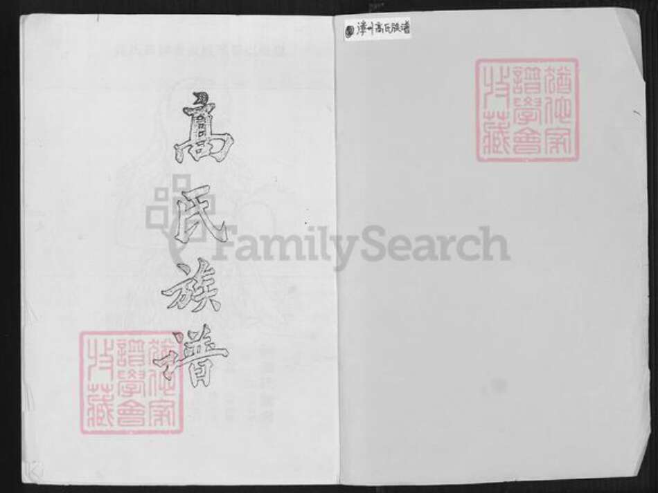 福建省漳州市龙海市石码街道高氏族谱-高氏族谱.pdf电子版预览图1