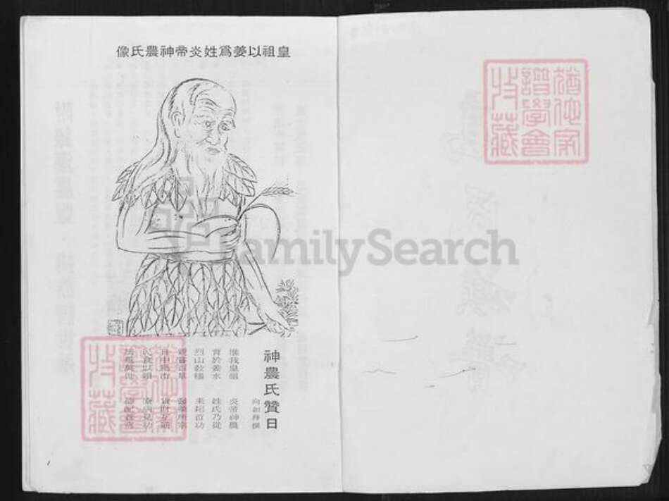 福建省漳州市龙海市石码街道高氏族谱-高氏族谱.pdf电子版预览图2