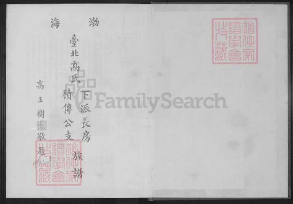 福建省泉州市安溪县大坪乡高氏渤海堂族谱-渤海台北高氏下派长房积传公支族谱.pdf电子版预览图1