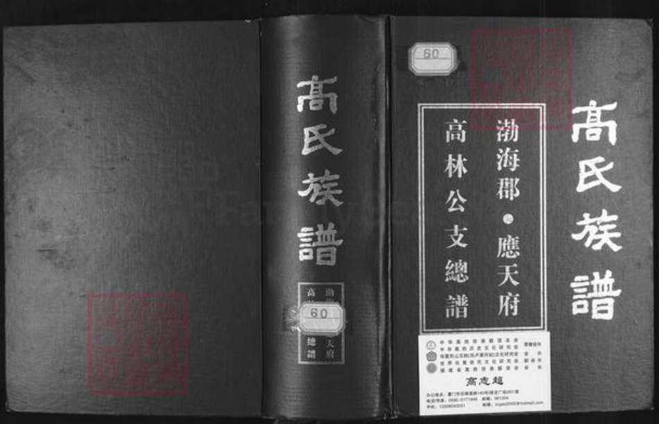 贵州省毕节市大方县高氏族谱-高氏族谱.渤海郡.应天府高林公支总谱.pdf电子版缩略图