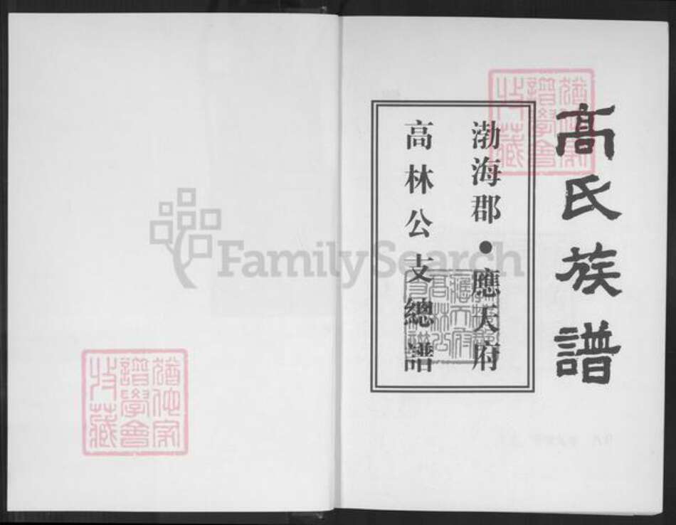 贵州省毕节市大方县高氏族谱-高氏族谱.渤海郡.应天府高林公支总谱.pdf电子版预览图1