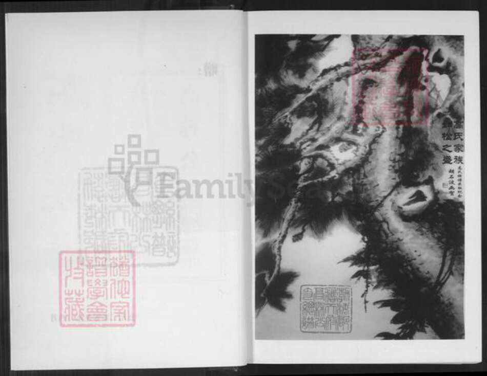 贵州省毕节市大方县高氏族谱-高氏族谱.渤海郡.应天府高林公支总谱.pdf电子版预览图3