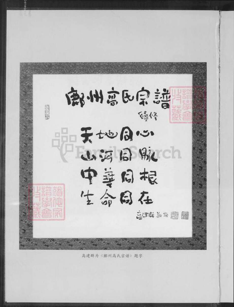 陕西省延安市鄜县高氏族谱-鄜州高氏宗谱.pdf电子版预览图4