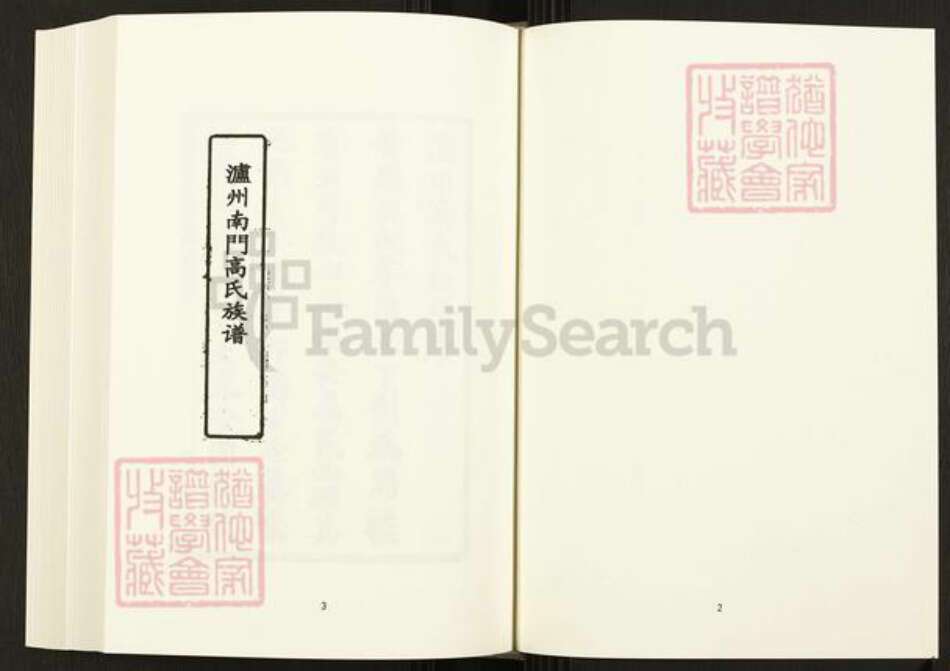 四川省泸州市四川省高氏宝仁堂族谱-中国珍稀家谱丛刊.四川家谱.第24册.泸州南门高氏族谱.pdf电子版预览图4