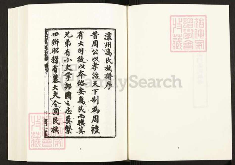 四川省泸州市四川省高氏宝仁堂族谱-中国珍稀家谱丛刊.四川家谱.第24册.泸州南门高氏族谱.pdf电子版预览图5