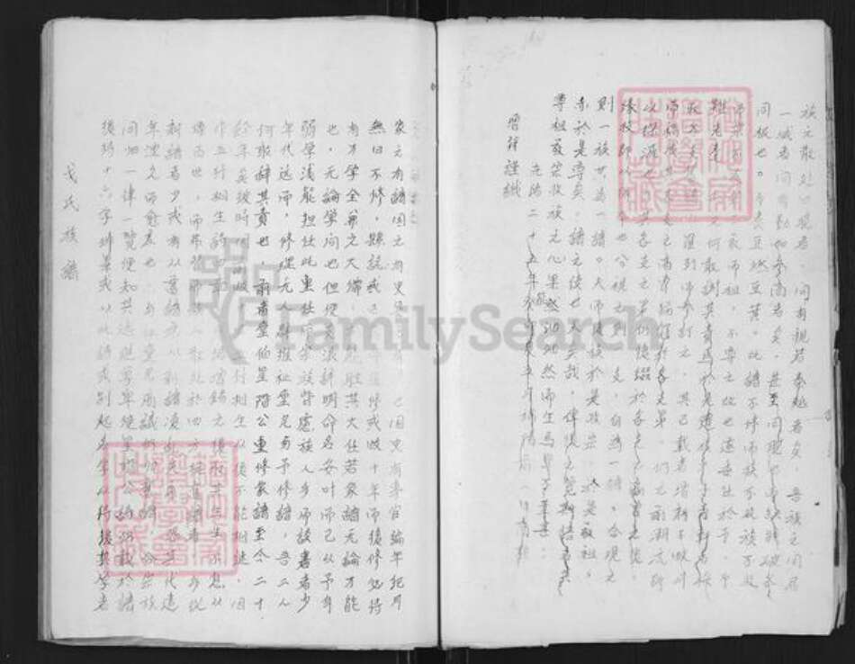 江苏省南京市戈氏族谱-戈氏族谱.pdf电子版预览图5