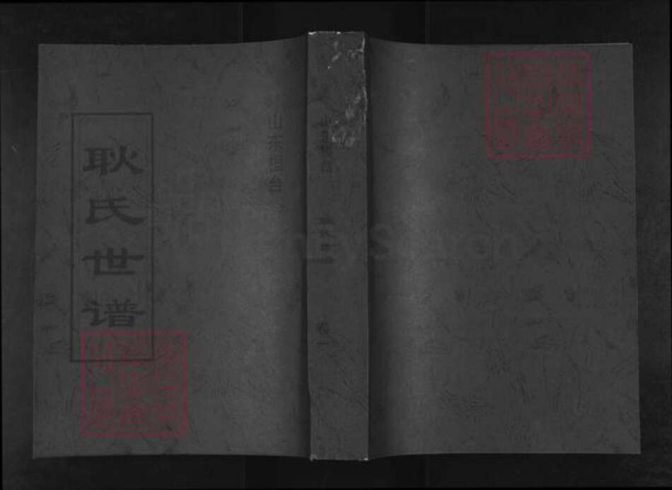 山东省淄博市桓台县新城镇耿氏族谱-桓台耿氏世谱.pdf电子版缩略图