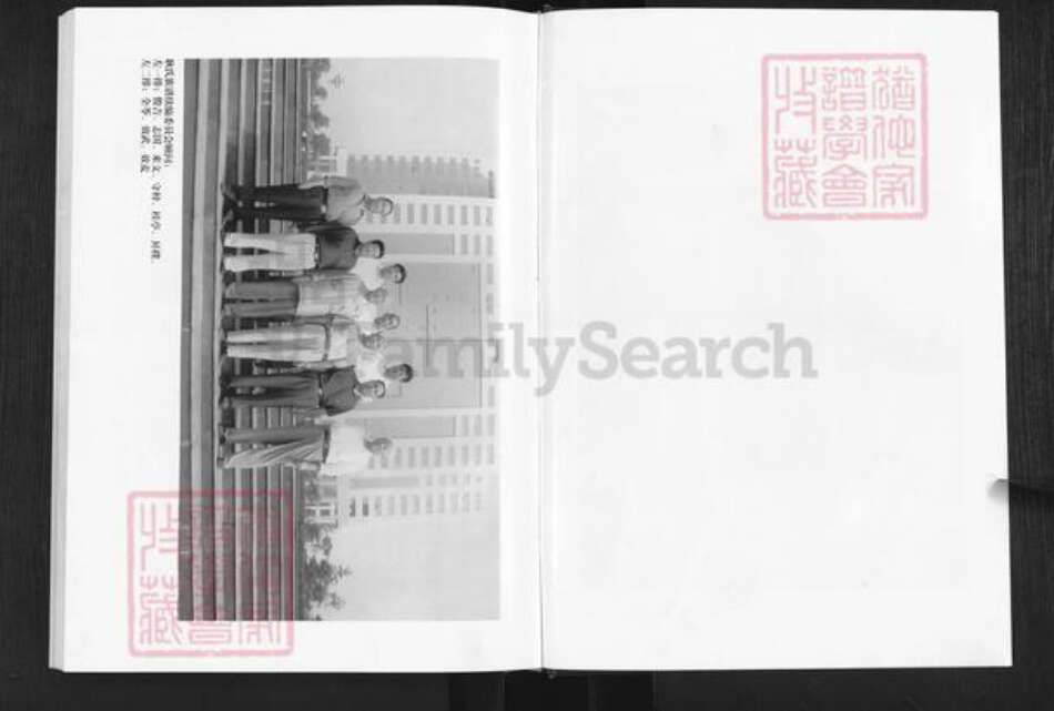 山东省济南市莱芜区方下镇耿氏敦睦堂族谱-莱芜耿氏家谱.pdf电子版预览图5