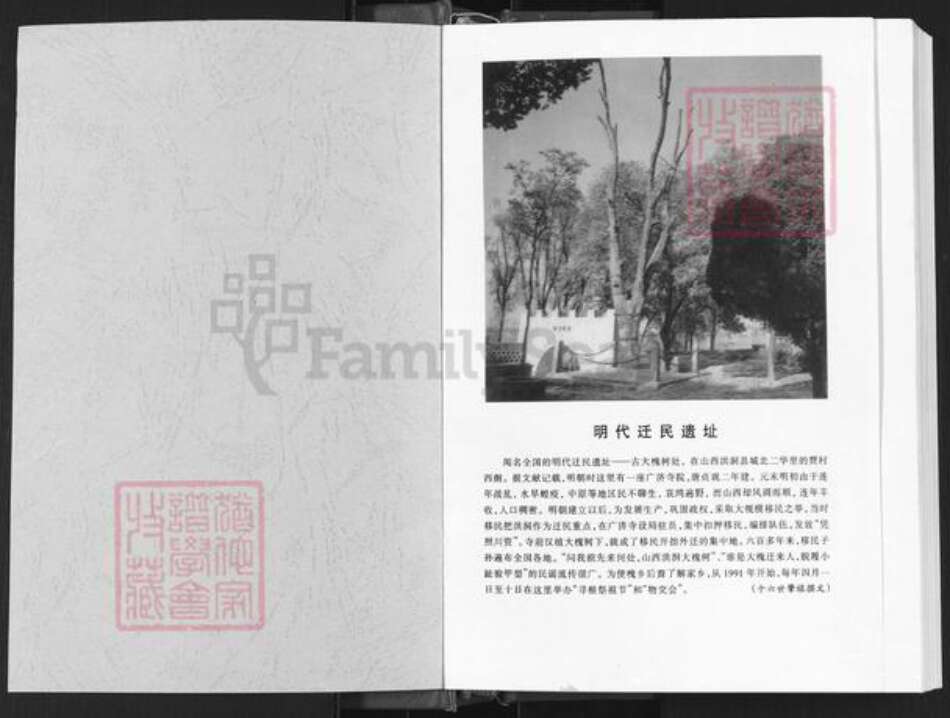 河南省郑州市惠济区弓氏族谱-弓氏家谱.pdf电子版预览图1