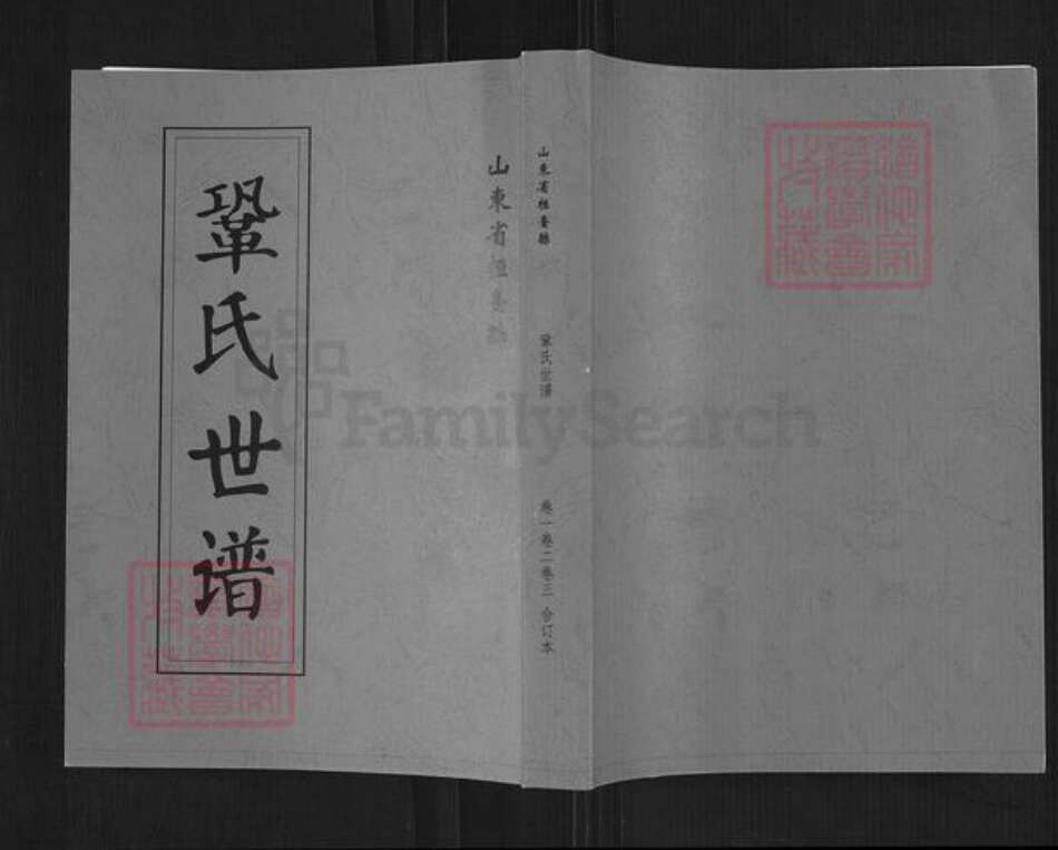 山东省淄博市桓台县起凤镇巩氏九思堂族谱-巩氏世谱.pdf电子版