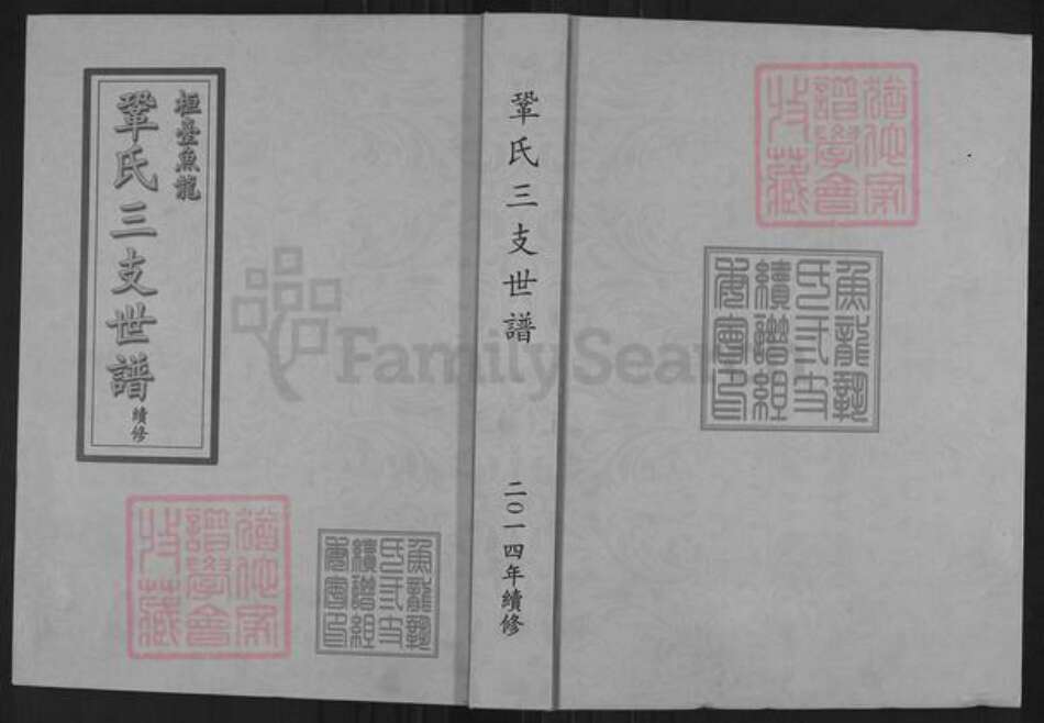 山东省淄博市桓台县新城镇巩氏族谱-巩氏三支世谱.pdf电子版