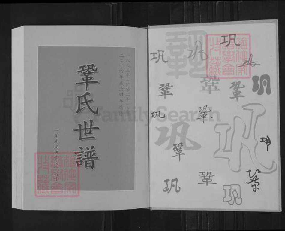 山东省淄博市桓台县新城镇巩氏族谱-巩氏三支世谱.pdf电子版预览图1