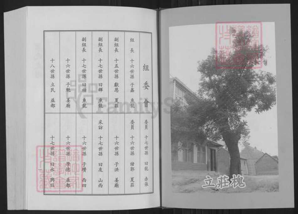 山东省淄博市桓台县新城镇巩氏族谱-巩氏三支世谱.pdf电子版预览图2