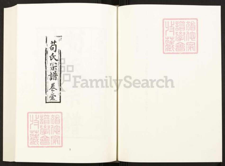 四川省巴中市巴州区四川省苟氏族谱-中国珍稀家谱丛刊.四川家谱.第33~34册.苟氏宗谱.pdf电子版预览图3